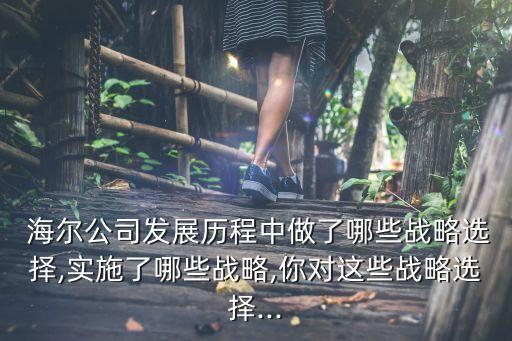  海爾公司發(fā)展歷程中做了哪些戰(zhàn)略選擇,實施了哪些戰(zhàn)略,你對這些戰(zhàn)略選擇...