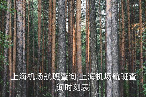 上海到歐洲航線,上海歐洲航線件雜重吊船價格