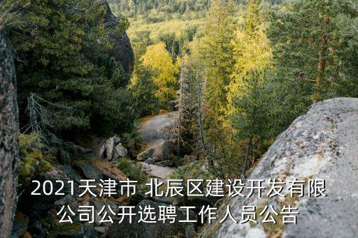2021天津市 北辰區(qū)建設開發(fā)有限公司公開選聘工作人員公告