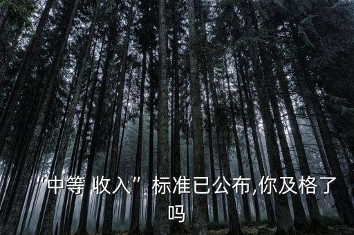 “中等 收入”標準已公布,你及格了嗎