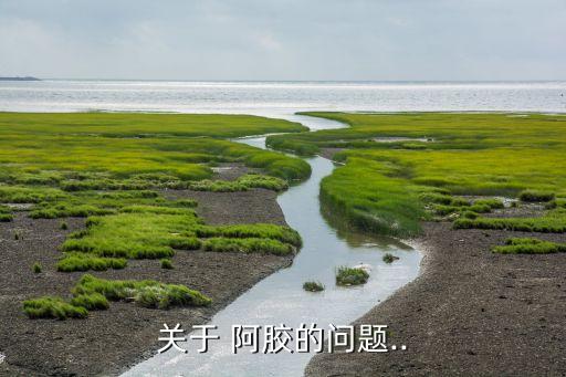 關于 阿膠的問題..