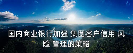 國內商業(yè)銀行加強 集團客戶信用 風險 管理的策略