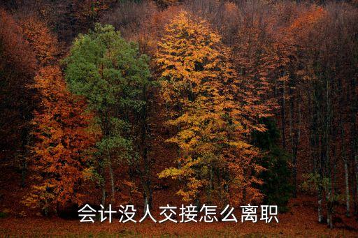 會(huì)計(jì)沒人交接怎么離職