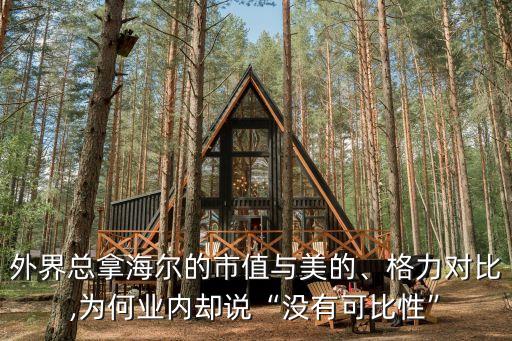 海爾集團股權(quán)結(jié)構(gòu)