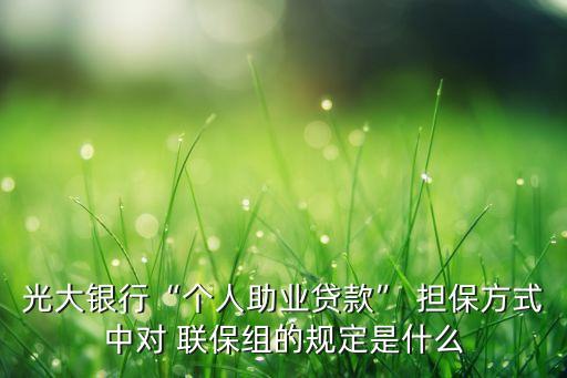 光大銀行“個人助業(yè)貸款” 擔(dān)保方式中對 聯(lián)保組的規(guī)定是什么
