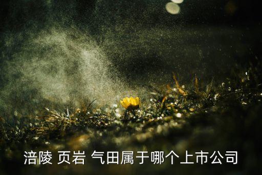 涪陵 頁(yè)巖 氣田屬于哪個(gè)上市公司