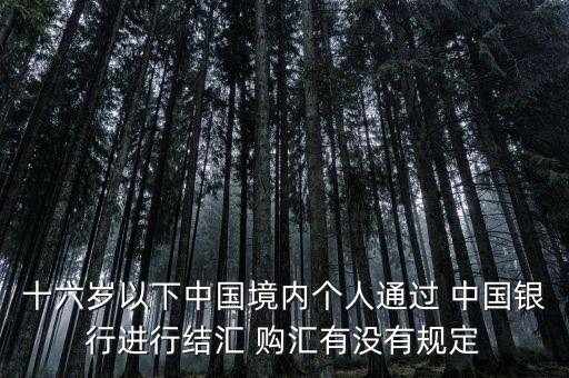 十六歲以下中國境內(nèi)個(gè)人通過 中國銀行進(jìn)行結(jié)匯 購匯有沒有規(guī)定
