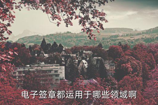 電子簽章都運用于哪些領(lǐng)域啊