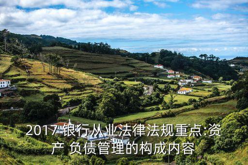 2017 銀行從業(yè)法律法規(guī)重點:資產(chǎn) 負債管理的構(gòu)成內(nèi)容