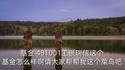  基金 481001工銀瑞信這個(gè) 基金怎么樣啊請(qǐng)大家?guī)蛶臀疫@個(gè)菜鳥(niǎo)吧