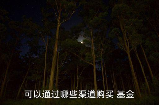 可以通過(guò)哪些渠道購(gòu)買 基金