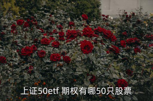 上證50etf 期權有哪50只股票