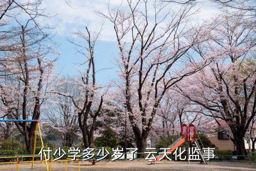 付少學多少歲了 云天化監(jiān)事