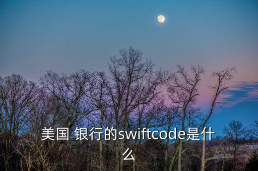美國 銀行的swiftcode是什么