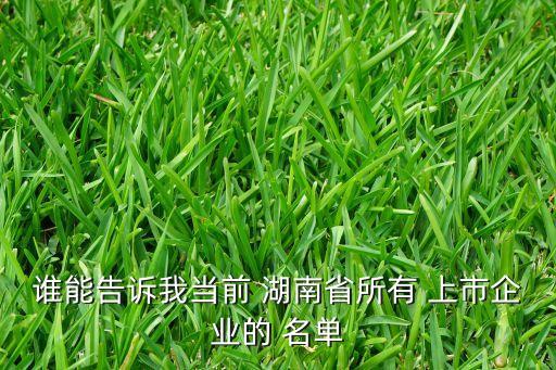 誰能告訴我當前 湖南省所有 上市企業(yè)的 名單