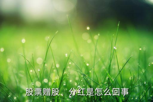  股票贈股、分紅是怎么回事