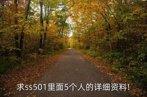 求ss501里面5個(gè)人的詳細(xì)資料!