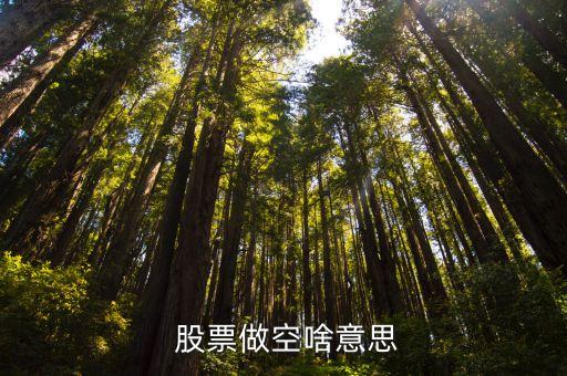 股票中做空是什么意思,做空是怎么賺錢的
