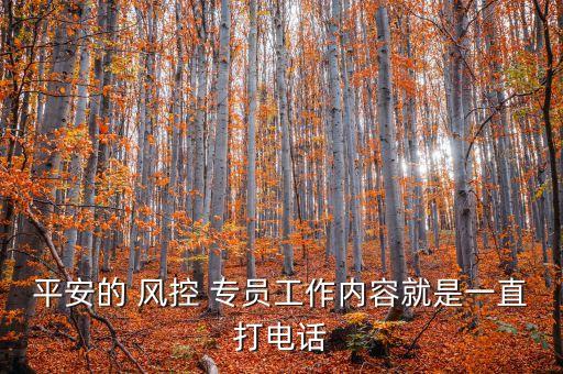 平安的 風(fēng)控 專(zhuān)員工作內(nèi)容就是一直打電話(huà)