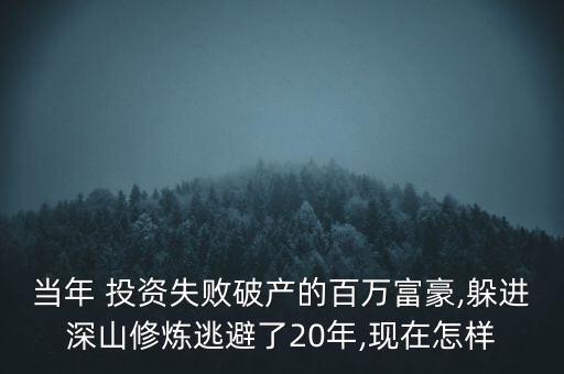 百萬富翁投資,中國(guó)百萬富翁人數(shù)2022