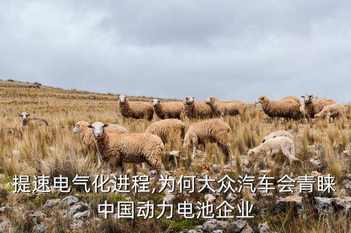 提速電氣化進(jìn)程,為何大眾汽車會(huì)青睞中國(guó)動(dòng)力電池企業(yè)