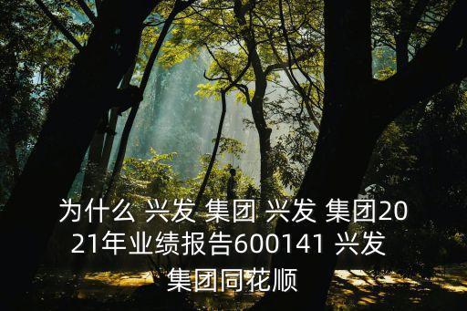 為什么 興發(fā) 集團(tuán) 興發(fā) 集團(tuán)2021年業(yè)績報告600141 興發(fā) 集團(tuán)同花順