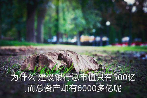 為什么 建設銀行總市值只有500億,而總資產卻有6000多億呢
