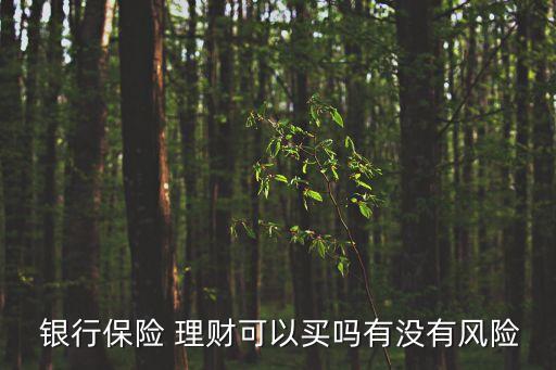  銀行保險(xiǎn) 理財(cái)可以買(mǎi)嗎有沒(méi)有風(fēng)險(xiǎn)