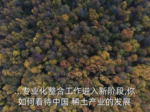 ...專業(yè)化整合工作進(jìn)入新階段,你如何看待中國(guó) 稀土產(chǎn)業(yè)的發(fā)展