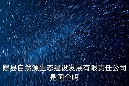 隰縣自然源生態(tài)建設(shè)發(fā)展有限責(zé)任公司是國企嗎