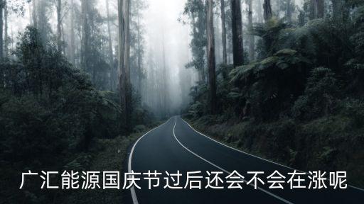 廣匯能股票,廣匯股票600256