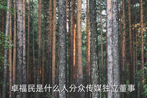 上置集團(tuán)董事長(zhǎng)