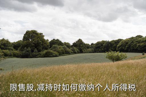 限售股,減持時(shí)如何繳納個(gè)人所得稅
