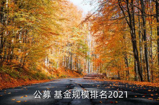公募基金有多少家公司