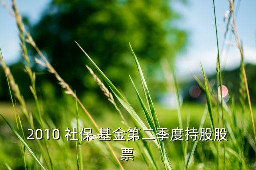 社?；鹨涣闫呓M合,全國社保基金組合