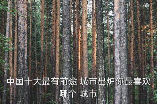 中國(guó)十大最有前途 城市出爐你最喜歡哪個(gè) 城市