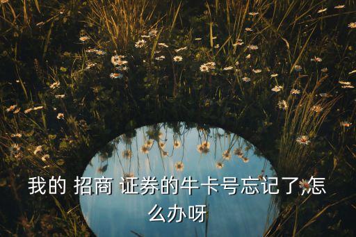 北京招商證券營(yíng)業(yè)時(shí)間,招商證券電話客服電話營(yíng)業(yè)時(shí)間