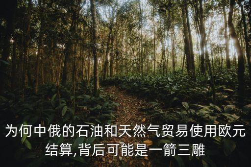 為何中俄的石油和天然氣貿(mào)易使用歐元結算,背后可能是一箭三雕