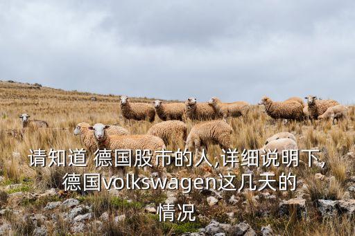 請(qǐng)知道 德國股市的人,詳細(xì)說明下, 德國volkswagen這幾天的情況