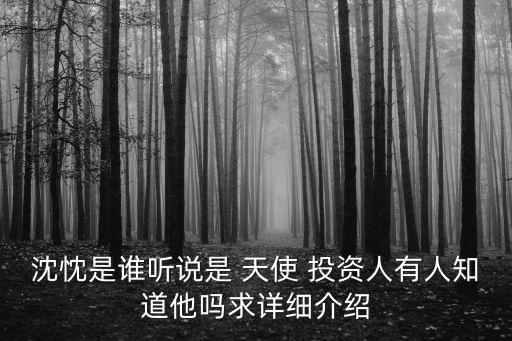 沈忱是誰(shuí)聽說(shuō)是 天使 投資人有人知道他嗎求詳細(xì)介紹