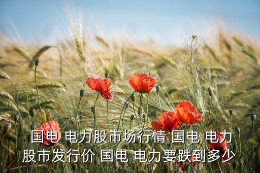  國電 電力股市場行情 國電 電力股市發(fā)行價 國電 電力要跌到多少