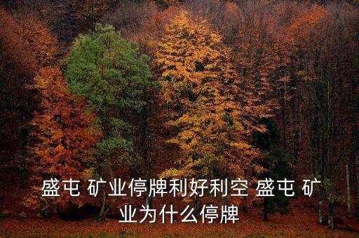 盛屯礦業(yè)集團(tuán)股份有限公司怎么樣,四川盛屯礦業(yè)集團(tuán)股份有限公司王國棟