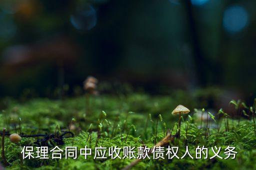 保理公司責(zé)任,深圳十大保理公司