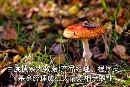 百度搜索大數(shù)據(jù):產(chǎn)品經(jīng)理、程序員、 基金經(jīng)理成三大最愛相親職業(yè)