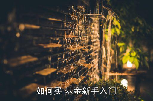 買(mǎi)基金怎樣開(kāi)戶,如何網(wǎng)上開(kāi)戶買(mǎi)基金