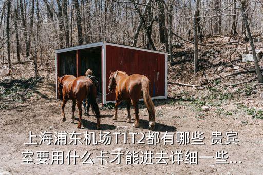虹橋機(jī)場(chǎng)招商銀行貴賓室,上海虹橋機(jī)場(chǎng)招商銀行貴賓室開(kāi)放了嗎現(xiàn)在