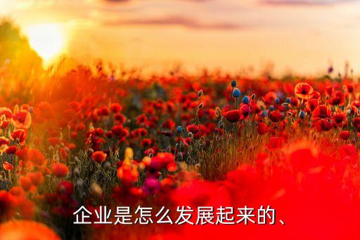 企業(yè)是怎么發(fā)展起來(lái)的、