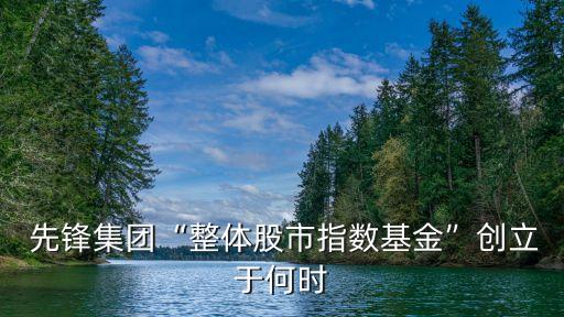  先鋒集團“整體股市指數(shù)基金”創(chuàng)立于何時