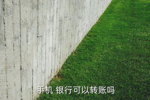  手機 銀行可以轉(zhuǎn)賬嗎