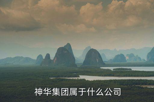  神華集團屬于什么公司